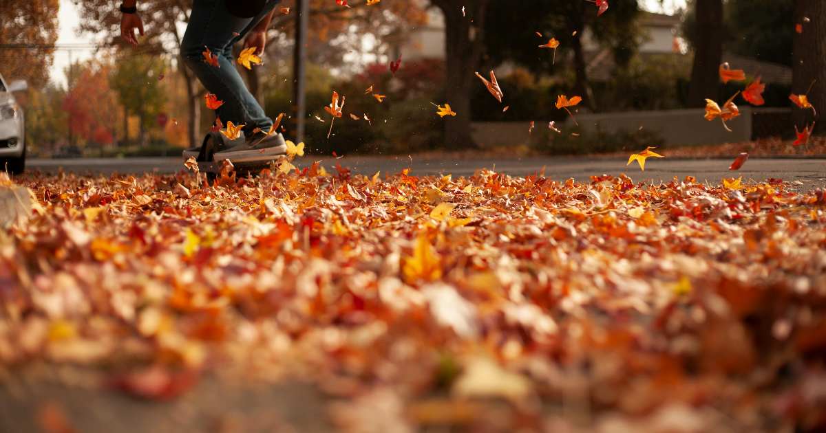 Multato per aver sputato una foglia finita in bocca: il caso surreale di un pensionato inglese