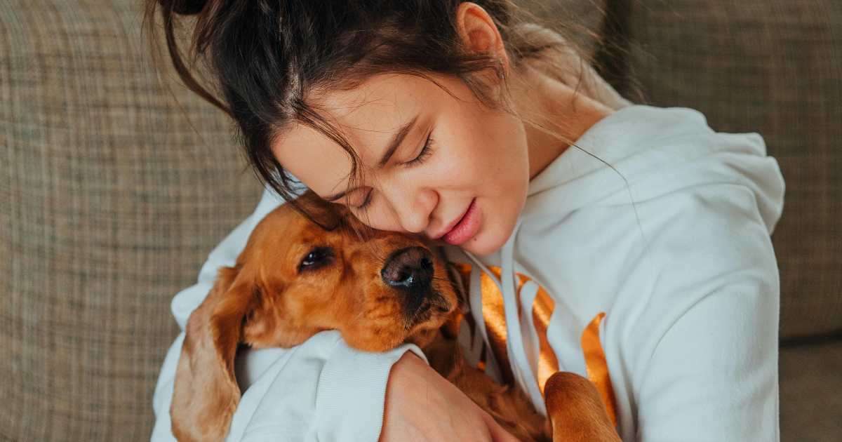 Quando gli umani litigano, il cane consola chi soffre: lo studio che spiega l’empatia di Fido