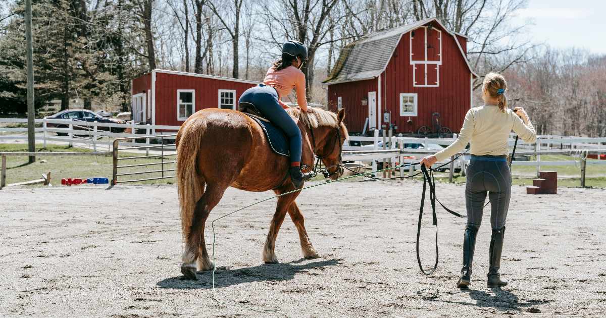 È tutto vero: i cavalli annusano la paura, lo studio scientifico che conferma il vecchio detto