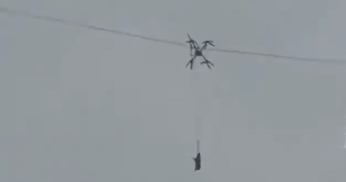 Maiale “volante” si impiglia nei cavi e lascia l’intero villaggio senza elettricità [+VIDEO]