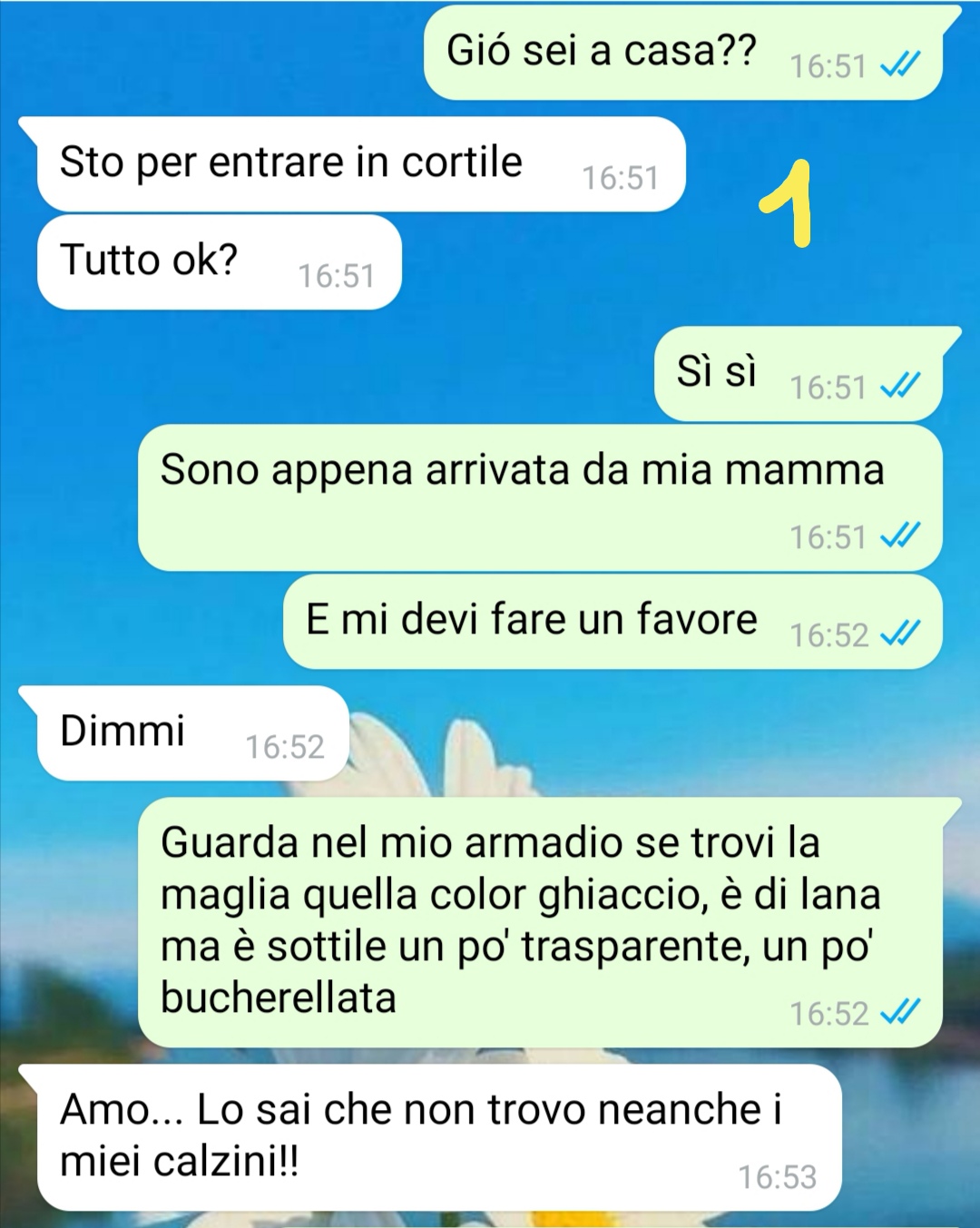 La maglia di mia sorella