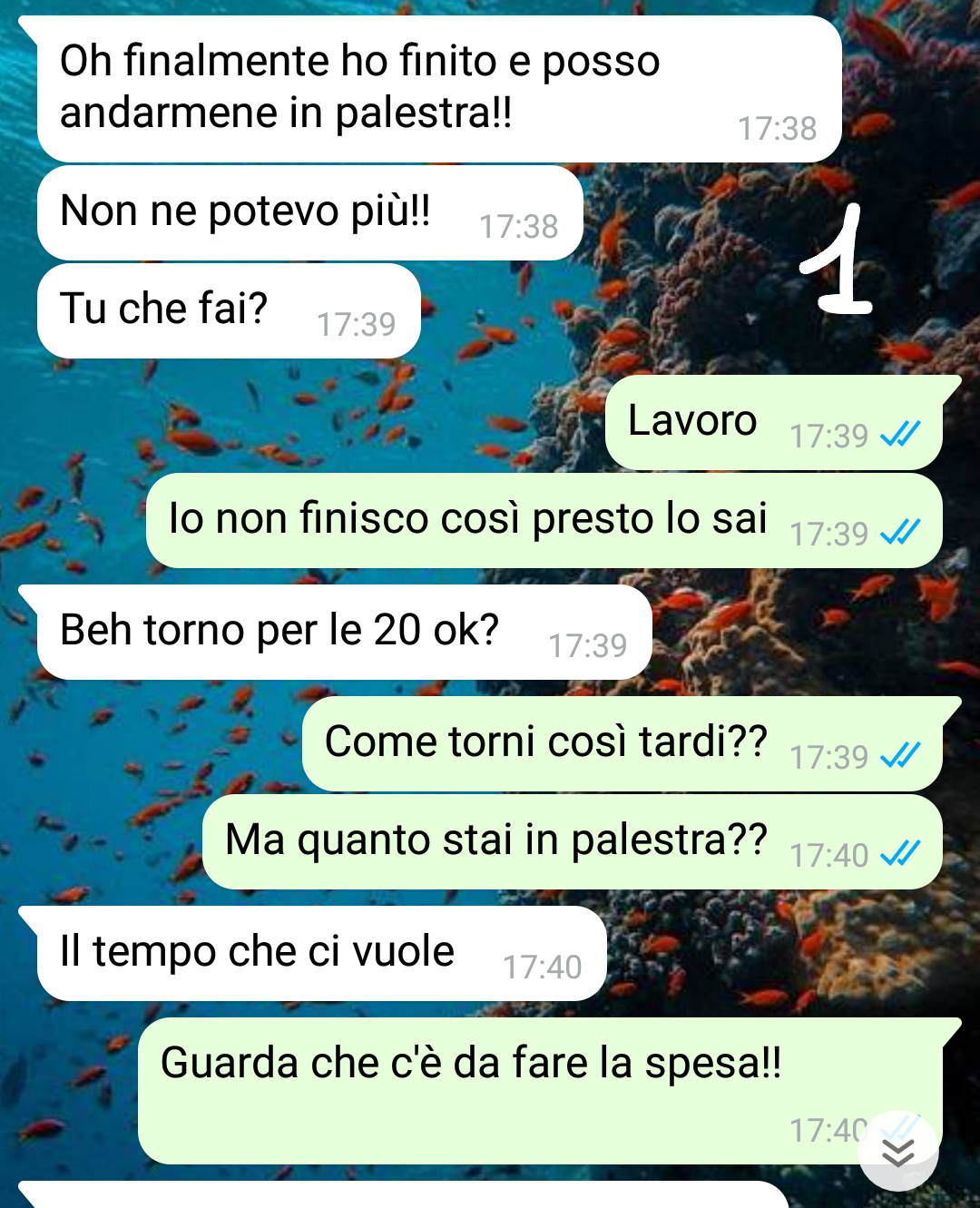 Chi è il vero sportivo