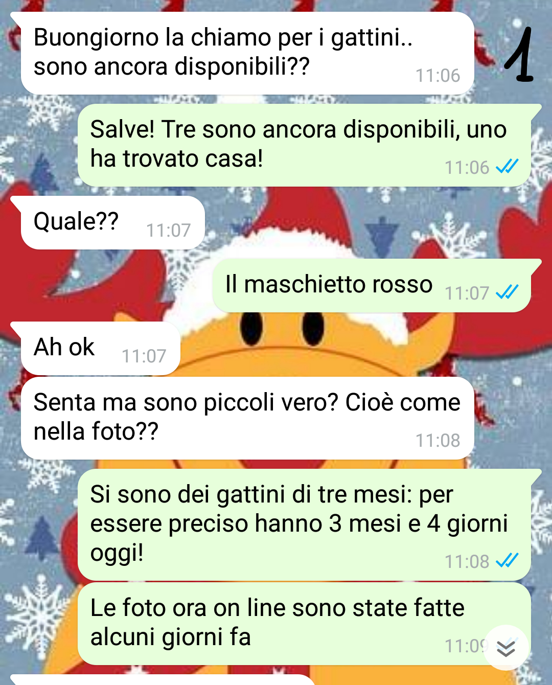 Regalare gatti a Natale