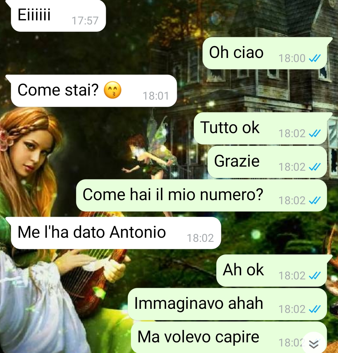 La felpa dimenticata