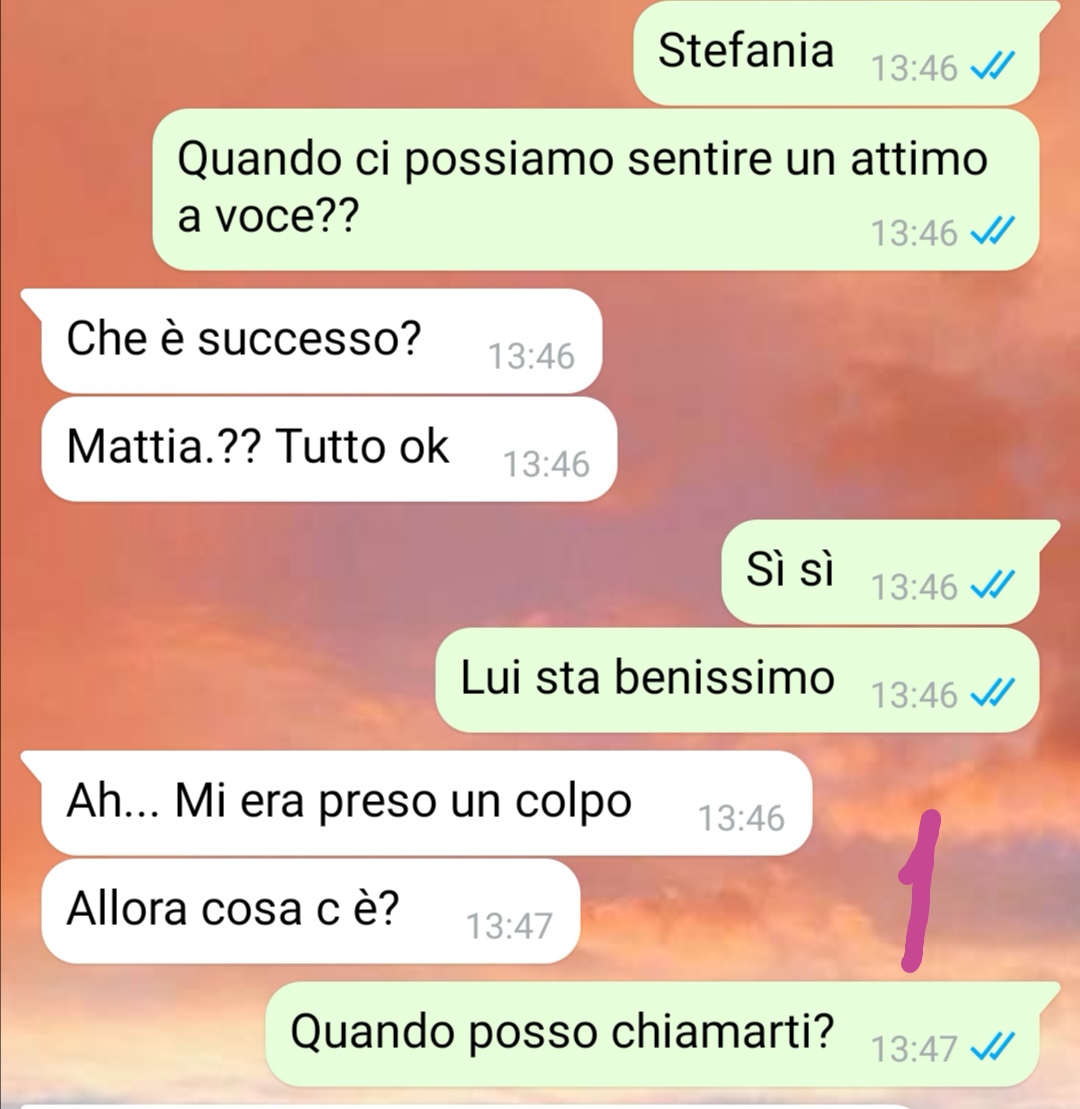 La seconda mamma