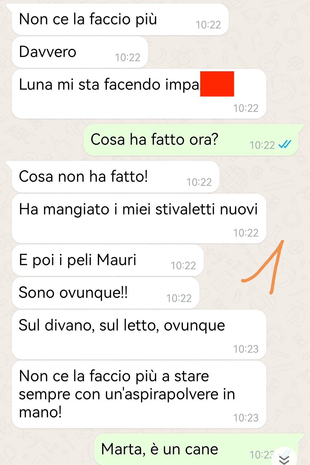 Lei o il cane