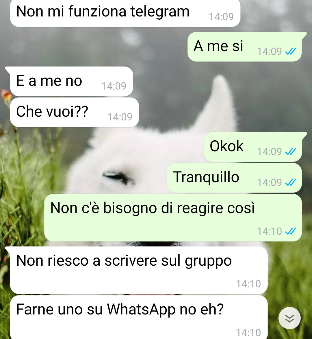 Un’organizzazione di capodanno poco ortodossa