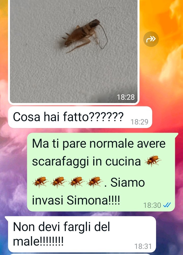 Problemi in cucina