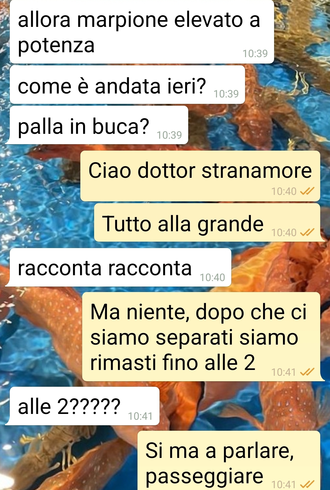 Fidanzata con sorpresa