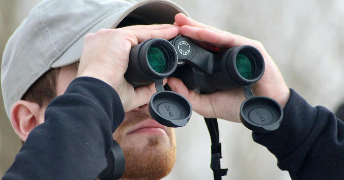 Come il birdwatching cambia il cervello: cosa succede davvero alla mente