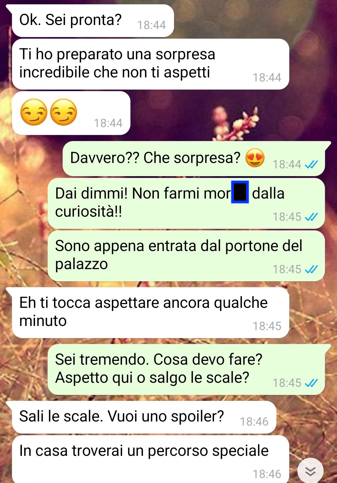 Il percorso speciale