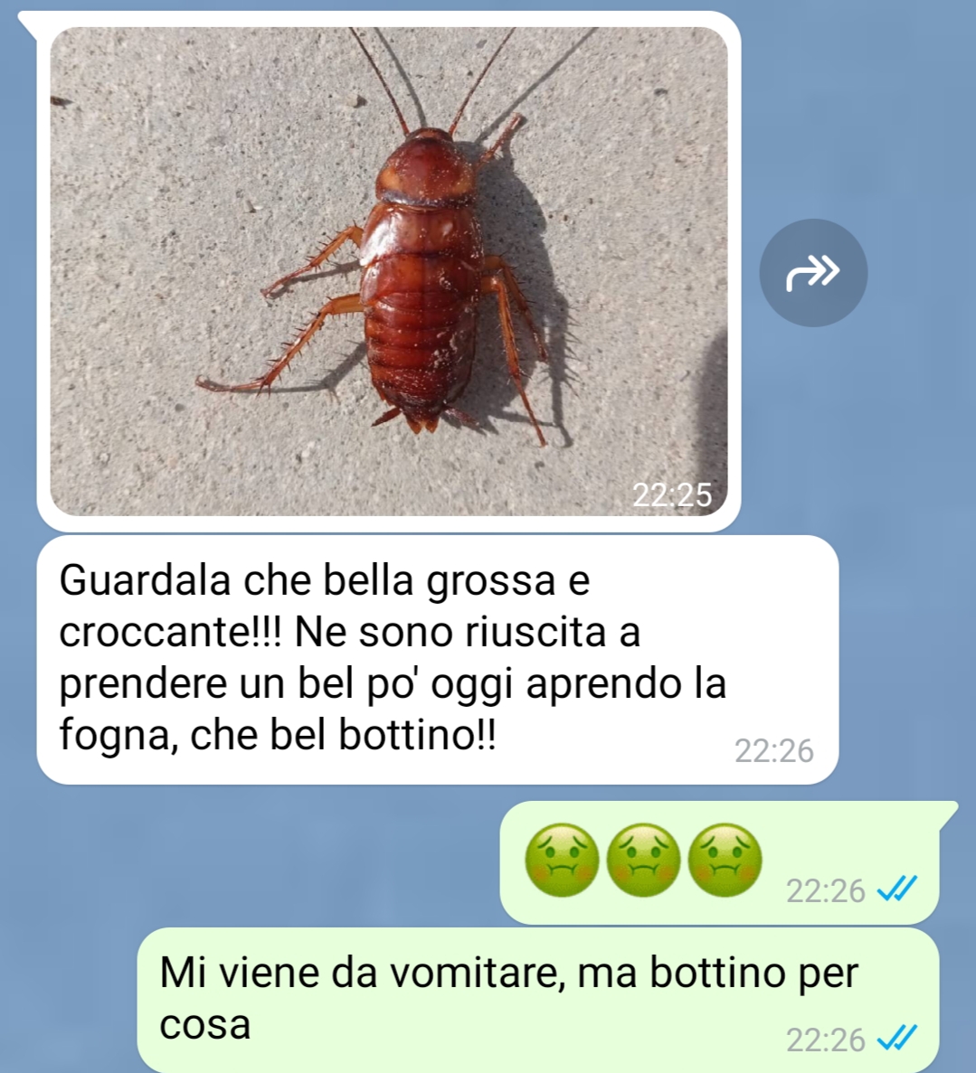 Una delizia croccante