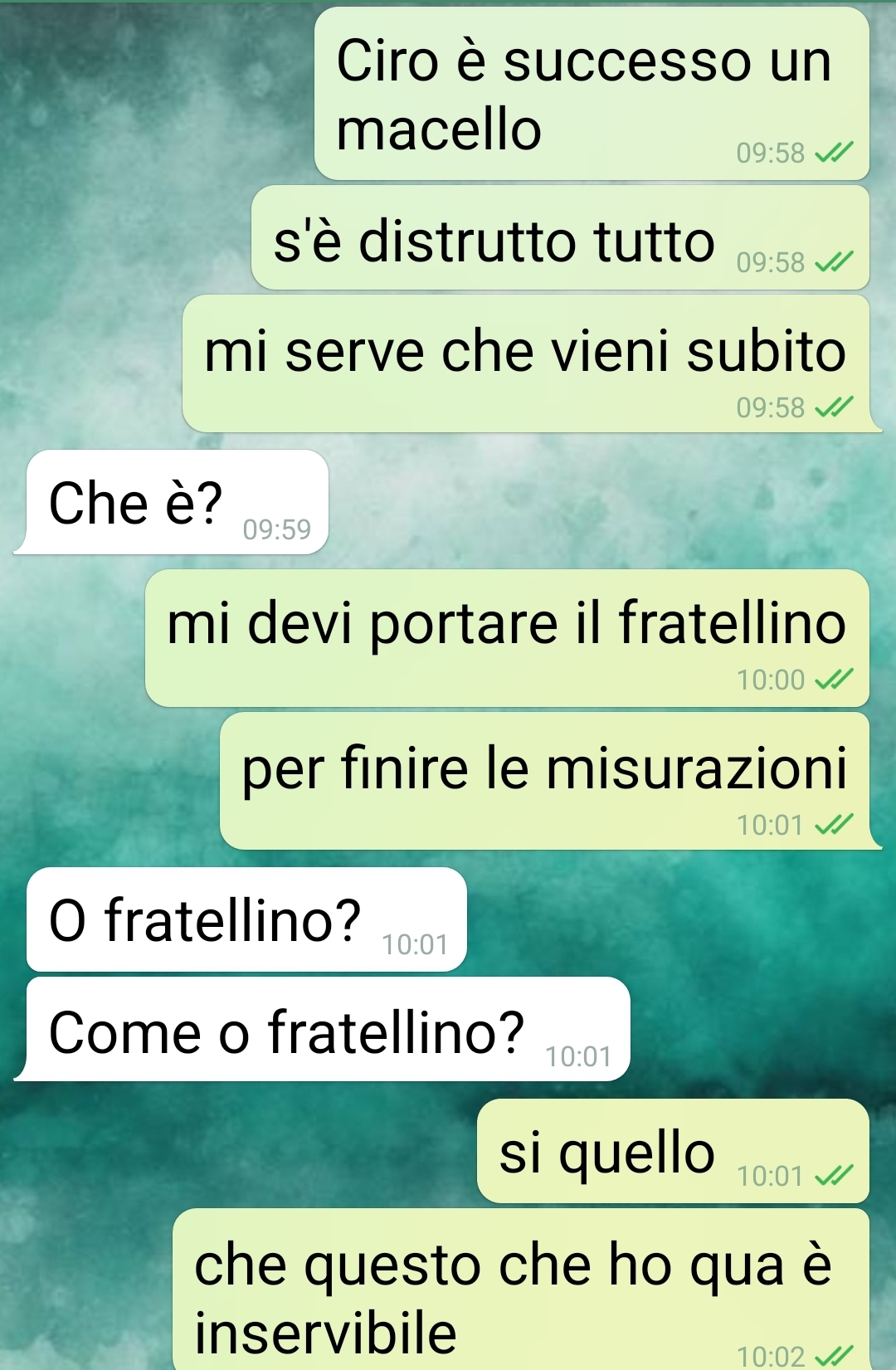 Gestione societaria
