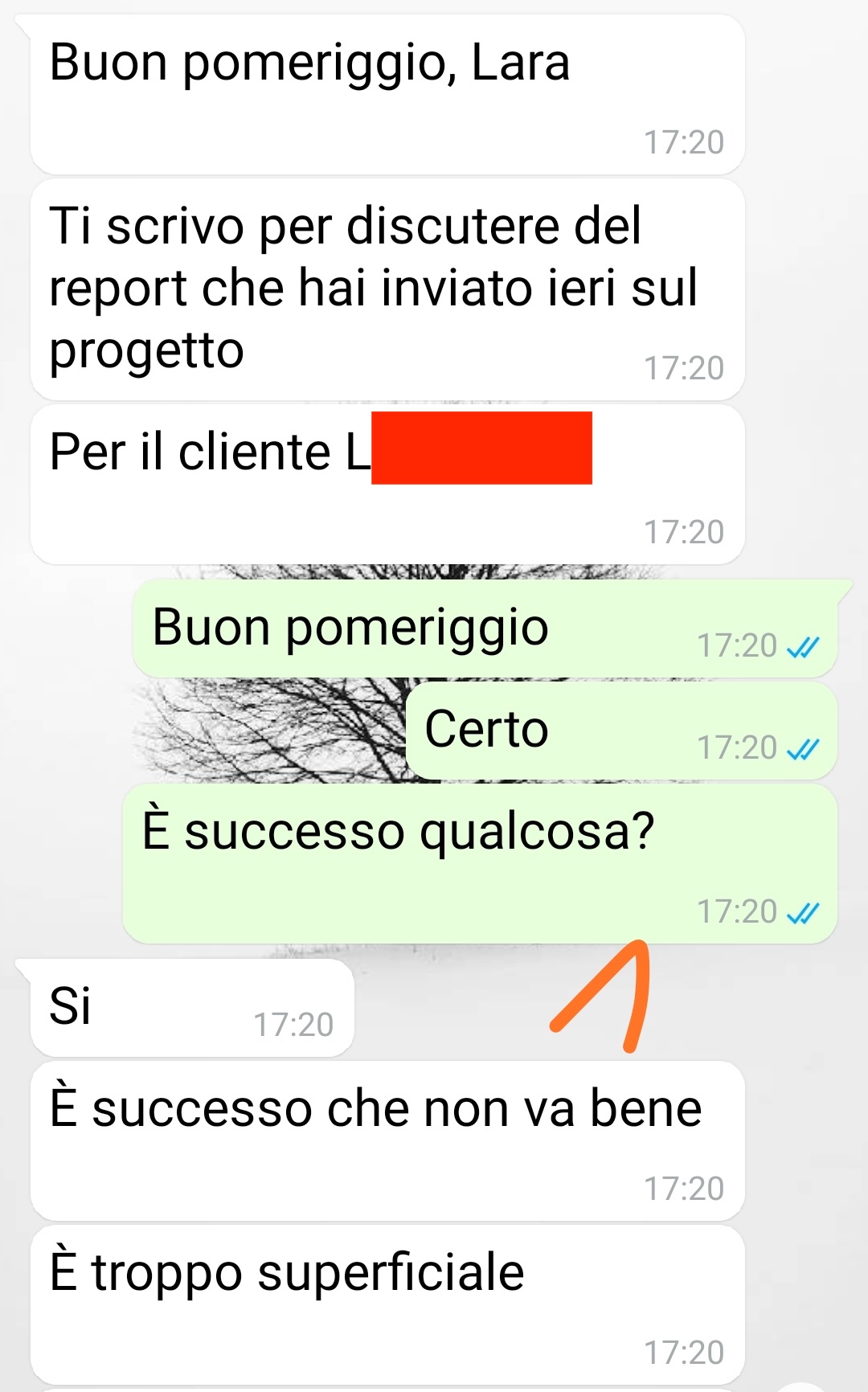 Il capo