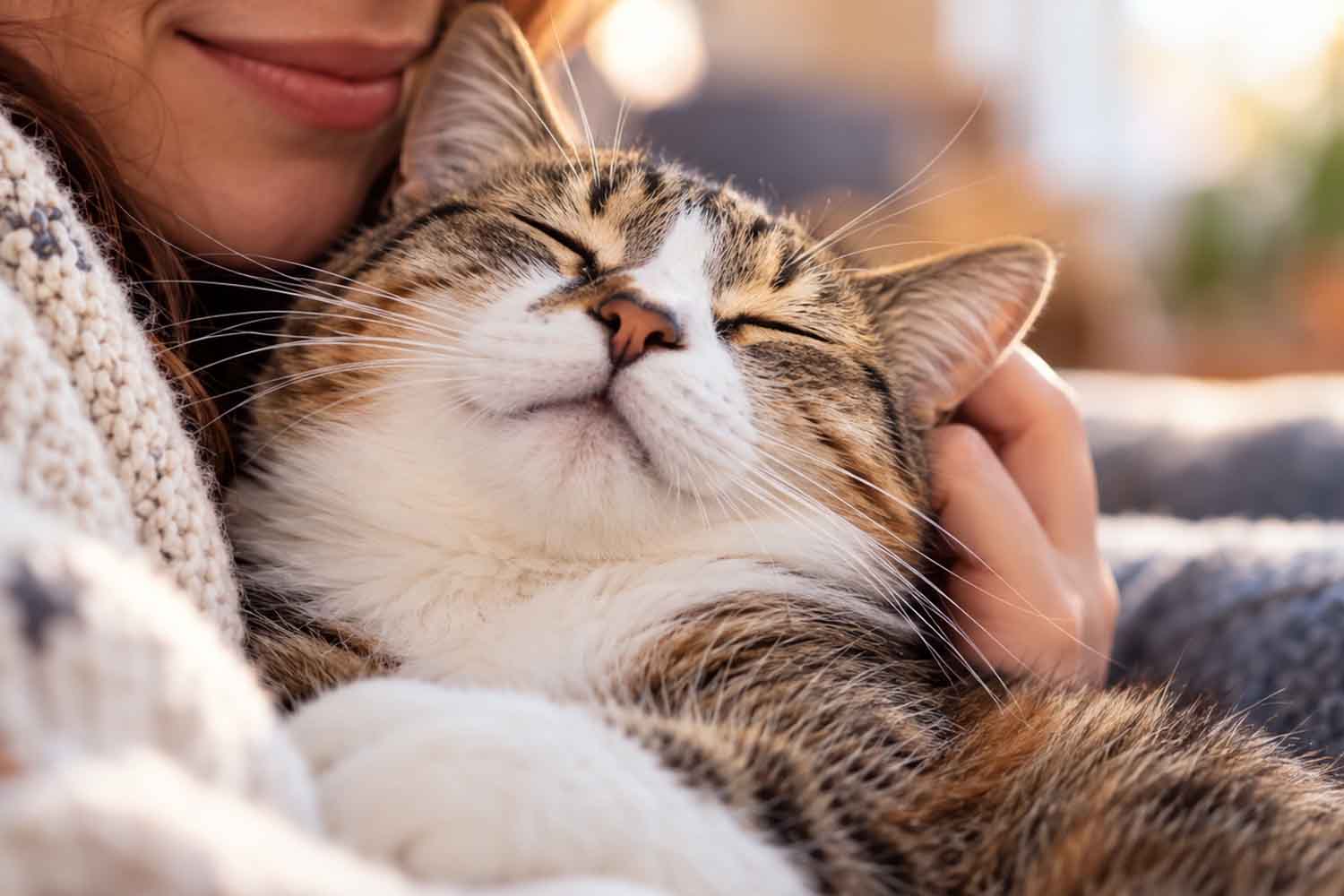 Il tuo gatto ti rende felice? Uno studio spiega quanto conta il vostro legame